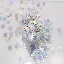 wholesale Industry Glitter for Christmas handicraft,cosmetics, screen printing, decorative materials , furniture paint etc.